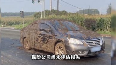 Photo of 轎車遭載糞卡車追撞 秒變泡糞車