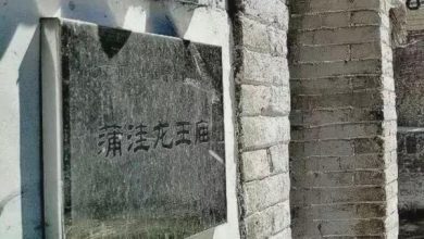 Photo of 【視頻】大水衝不倒龍王廟！ 北京房山洪水致屋毀地破 祂屹立不搖