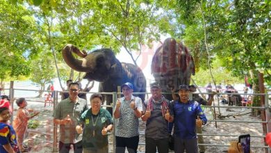 Photo of 檳國家公園迎國慶月 迎來2頭大象作客3天