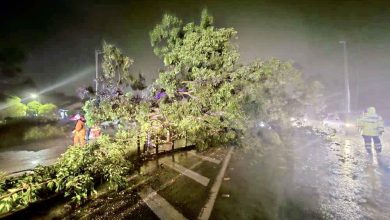 Photo of 暴雨襲丹格拉那市鎮 樹倒砸2車至少3傷