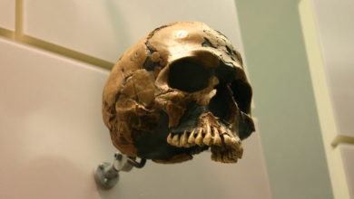 Photo of 研究: 90萬年前人類差點絕種 族群銳減近99％