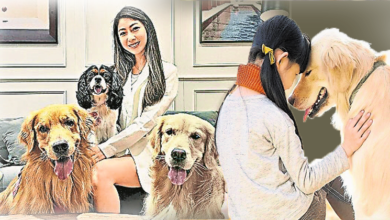 Photo of 狗老師上課！輔導特需人士