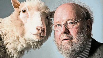Photo of 複製羊“多莉”之父 英科學家維爾穆特逝世