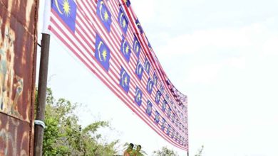 Photo of 吉民防局與政府單位合作 攀華玲山插大型國旗