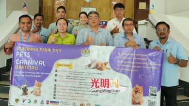 Photo of 威省市廳週六寵物嘉年華 邀你與愛犬同跑