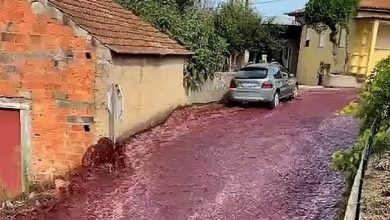 Photo of 220萬公升紅酒傾瀉成河 葡萄牙小鎮街道被抹紅