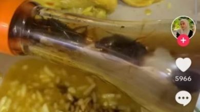 Photo of 女子醬油拌飯吃幾口突倒胃  “3只蟑螂死在醬油瓶里”
