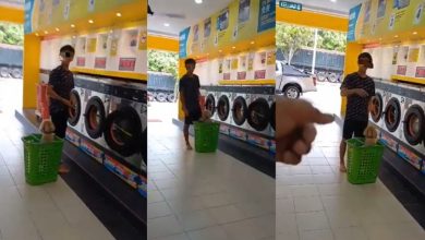 Photo of 【視頻】“可以帶貓但不能帶狗和豬” 男子帶狗進洗衣店被罵