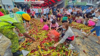 Photo of 高淵港口慶中元延續“搶孤”傳統 數百人爭搶水果堆