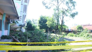 Photo of 衛星市暴風雨襲擊 巴剎檔口被吹 學校屋頂摧毀