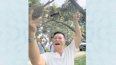 Photo of 張兆輝 大馬體驗手摘榴槤