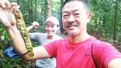 Photo of 本地資深藝人 張詠華爬山暈倒 送院搶救不治