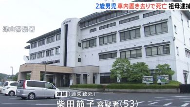 Photo of 外婆趕上班忘送孫上課 2歲童關車內9小時熱死