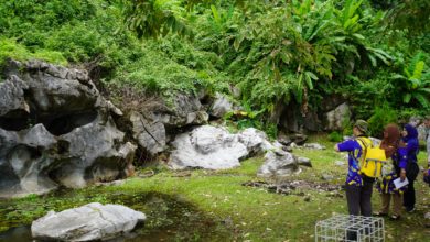 Photo of 玻有望獲地質公園認證  成我國第十個國家地質公園