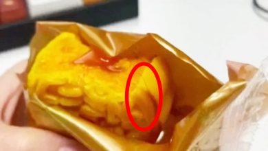 Photo of 吃月餅吃到頭髮 質疑公司送假貨 女子隔天遭開除