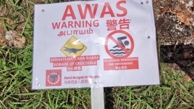 Photo of 檳公園有鱷魚？警告牌非官方設立！