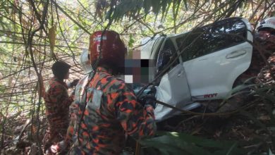 Photo of 轎車墜入山谷  2人被困車內獲救