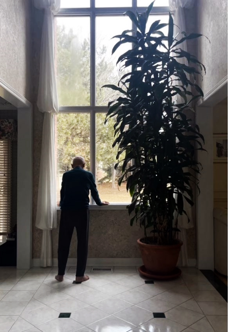 彭羚剪輯影片悼念父親，其中一張照片攝於家中窗前，彭羚父親背對鏡頭，看著窗外景色。