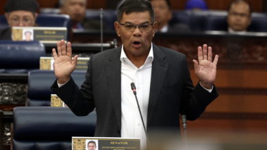 Photo of 賽夫丁：國語測驗為公民權申請條件 “一些人只會Terima Kasih”