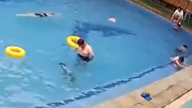 Photo of 小童泳池溺斃 中年男袖手旁觀 律師稱“不需承擔責任”