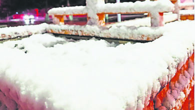 Photo of 漠河下起入秋後第一場雪