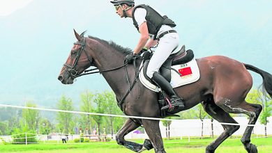 Photo of 【第19屆亞洲運動會  馬術】華天登頂個人賽 中獲團體金牌創史