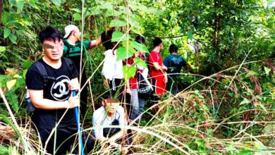 Photo of 迷途求助消拯局 8登山客脫困