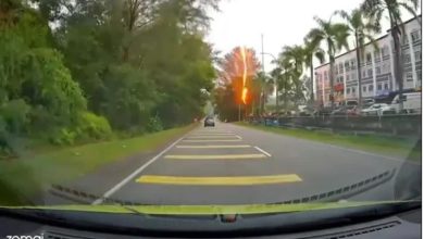 Photo of 閃電劈倒路邊大樹現紅光  路過轎車速停險被壓