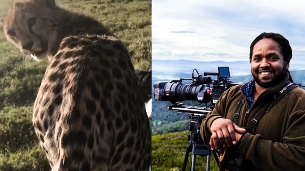 《BBC》攝影師自曝為搏觀眾同情偽造野生動物場景。
