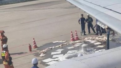 Photo of 峇迪航空航班機翼漏油 滯留關西機場逾2.5小時