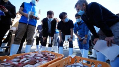 Photo of 驗證日本核污水排放 聯合國專家採集魚市場樣本