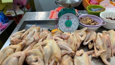Photo of 禽畜聯合會支持雞價自由浮動 “市場雞肉供應將充足”