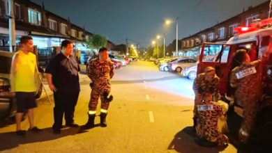 Photo of 頑猴亂闖住家搗亂傷人  被志願消防隊生擒