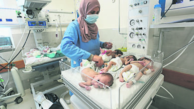 Photo of 【以巴衝突】31早產嬰已轉至埃及醫院