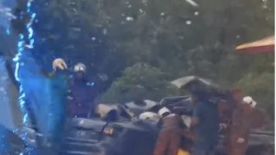 Photo of 華裔四口共車撞樹母子雙亡  父弟腦出血重傷搶救中