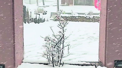 Photo of 日迎今冬第一場雪 札幌較往年晚10天