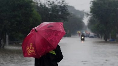 Photo of 氣象局：明年農歷新年期間 降雨量平均等級