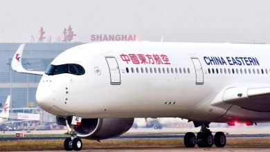Photo of 中國航空商務艙菜單 乘客見“進口狗糧”感震驚
