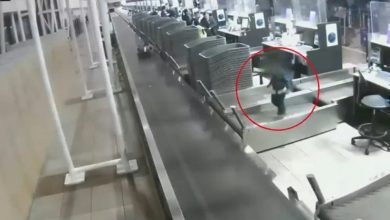 Photo of 【視頻】3歲男童誤上機場行李輸送帶 驚險旅程曝光
