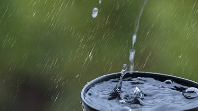Photo of 丹登多區暴雨至週一  氣象局發紅色警報