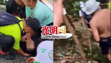 Photo of 華裔女登山遭蜂群攻擊  昏迷送院途中身亡