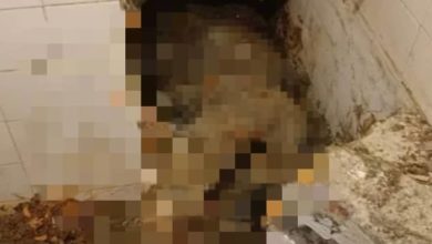 Photo of 雪州巴生驚傳洋灰藏屍  女子被深埋住家浴室水池