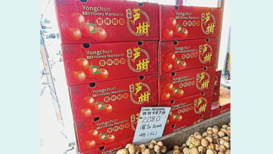 Photo of 價錢比去年便宜 盧柑提前搶灘上市