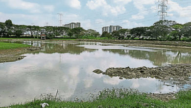 Photo of 蕭歡延：街燈失靈居榜首  實達阿南居民最會投訴