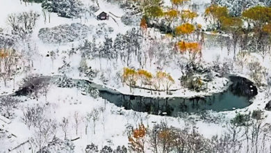 Photo of 鄭州公園雪後化作山水畫