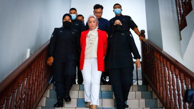 Photo of 發表煽動言論視頻  柬埔寨母子不認罪