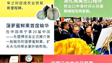 Photo of 任農糧副部長一周年 陳泓縑列政績報告老闆