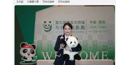 Photo of 周海媚離世 生前最後一次亮相
