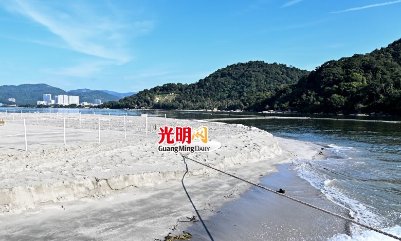 矽谷島計劃的填土工作正在如火如荼進行中。