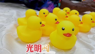 Photo of 小黃鴨等塑膠玩具有毒 檳消協促家長勿購買
